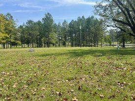 394 COUNTY HOME RD, ELLISVILLE, MS 39437 - Image 1