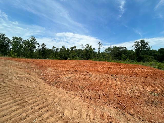 TBD JIMMY RAMEY RD, WAYNESBORO, MS 39367, photo 1 of 2