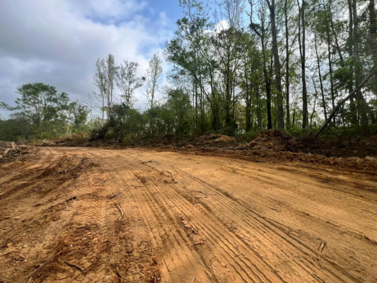 SALEM ROAD, FOREST, MS 39074, photo 2 of 12