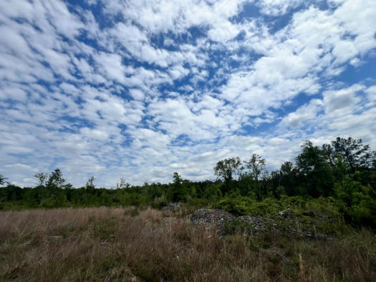 PINE GROVE ROAD, WAYNESBORO, MS 39367, photo 3 of 10