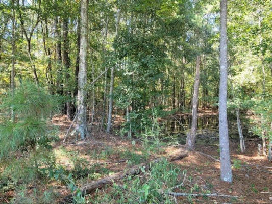 0 CLINTON RD, MOSELLE, MS 39459, photo 3 of 12