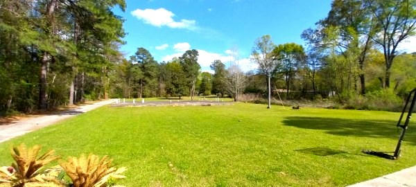 171 SUMMERLAND RD, TAYLORSVILLE, MS 39168, photo 4 of 22