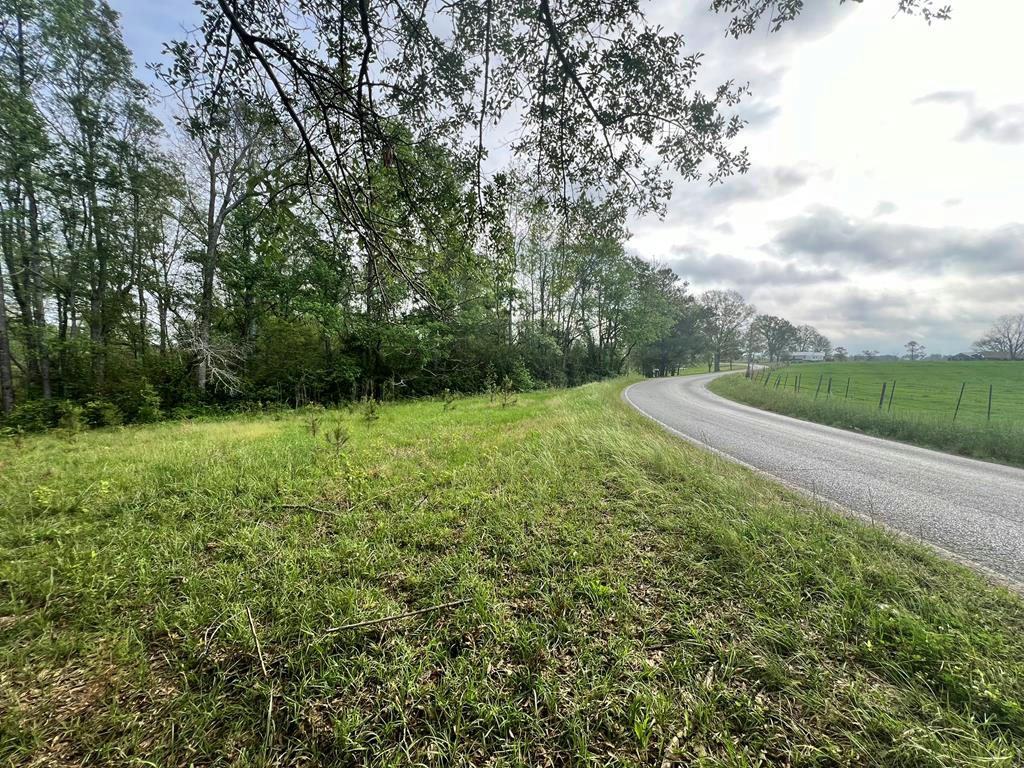 SALEM ROAD, FOREST, MS 39074, photo 1 of 12