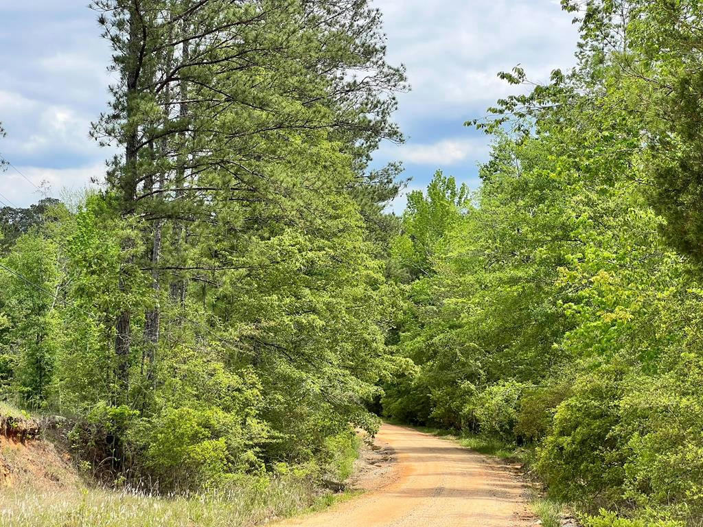 PINE GROVE ROAD, WAYNESBORO, MS 39367, photo 1 of 10