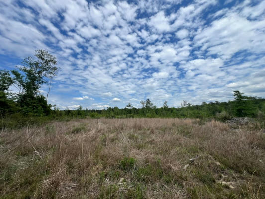 PINE GROVE ROAD, WAYNESBORO, MS 39367, photo 2 of 10